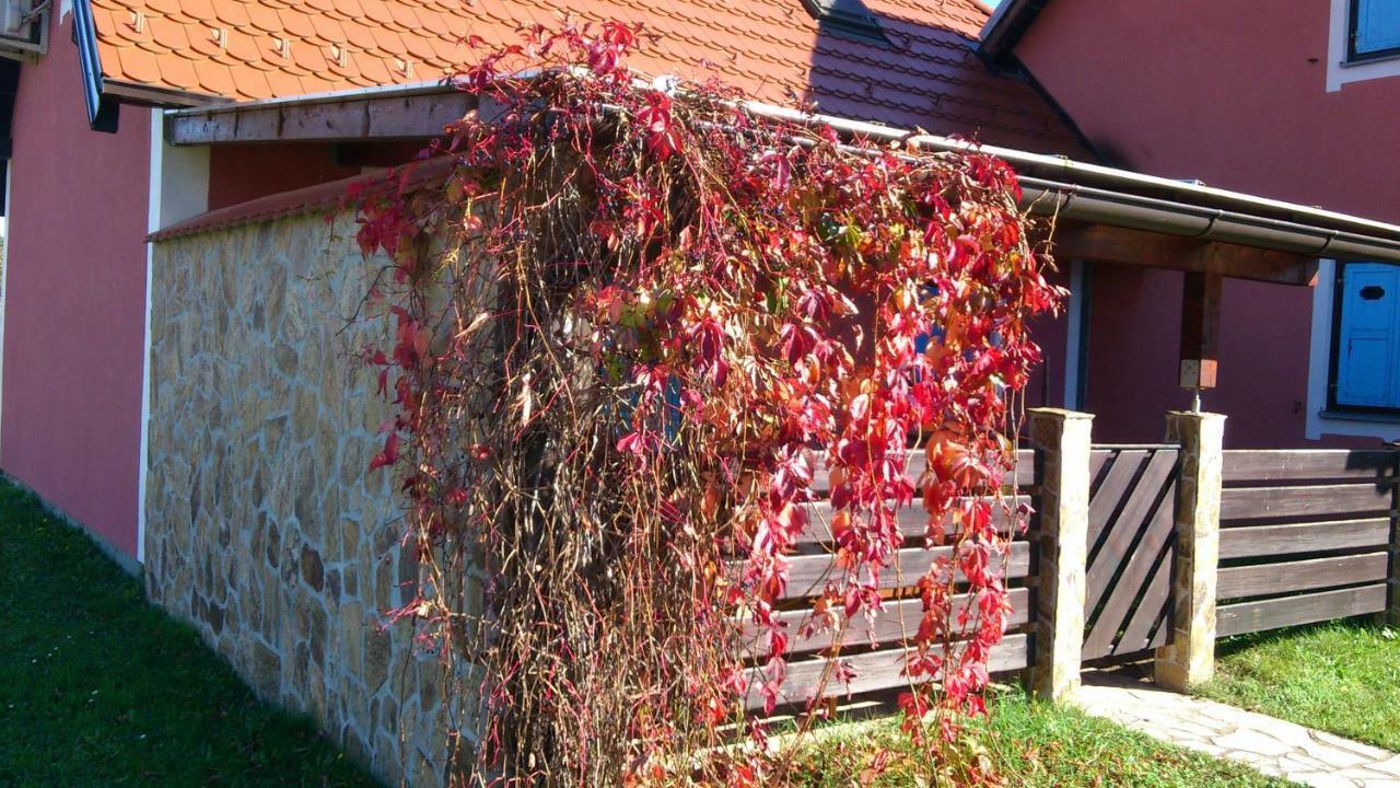 Krško Apartma Geoteh Terme Catez 6032 빌라 외부 사진